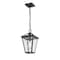 Z-Lite Talbot 1 Light Outdoor Chain Mount Ceiling Fixture, Black & Clear Beveled 579CHM-BK - alternate 2